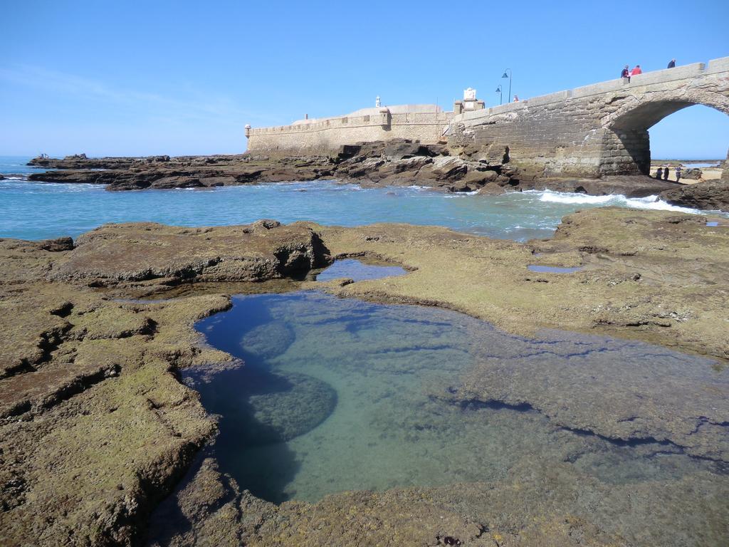 La Nube De San Miguel Daire Cadiz Dış mekan fotoğraf